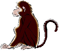 Click here for more details on Monkey in 2013